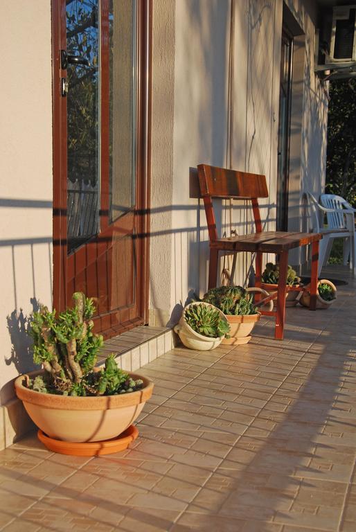 Apartments Iva Tivat Room photo