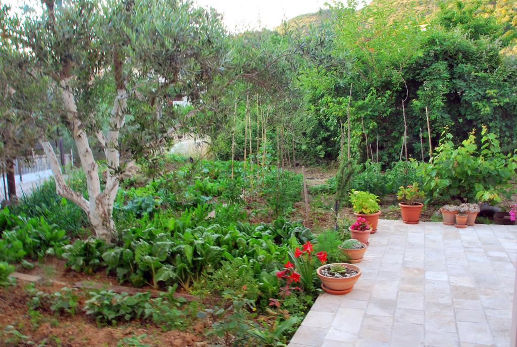 Apartments Iva Tivat Exterior photo