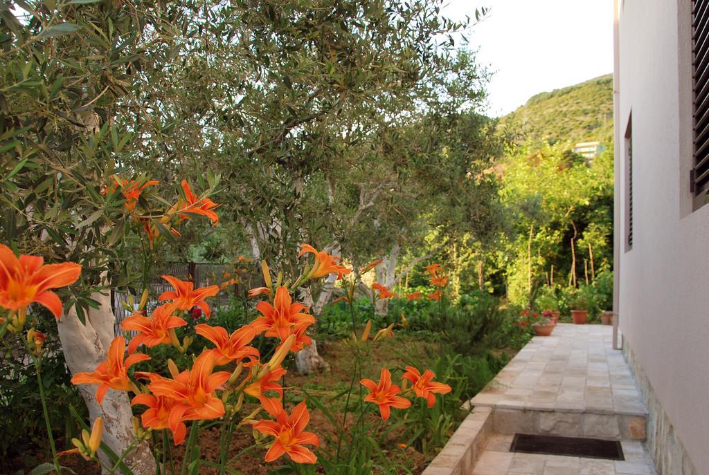 Apartments Iva Tivat Exterior photo